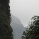 화련 - 안산시 단원구 | 화련