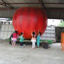 옥전초등학교 병설유치원 이미지