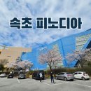 (상)재미 팡팡 창의 미술 | 속초 가볼만한 곳 피노디아 초등 아이랑 교육적인 여행 코스