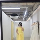 알리 웨딩드레스 8만 원 셀프 촬영 유채꽃 프릴 드레스 내돈내산 후기