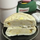찌니빵공장 | 에이블리 온라인 디저트 팝업 솔직 후기 :: 쭈롱베이커리&찌니빵공장