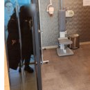 뷰티플란트 치과의원 네이버블로그