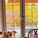 진레스카페 이미지