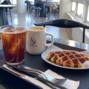 포항 호미곶 오션뷰 카페 어스피스 커피 크로플 맛집 Auspice coffee