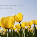 비이에프(주)