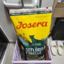 에코 켄넬 이미지