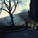 숲속의작은마을 이미지