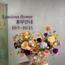 러셔스플라워 네이버블로그