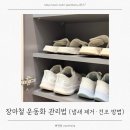 깨끗한운동화 - 익산시 황등로 139 | 장마철 운동화 관리법, 냄새 제거와 올바른 건조 방법