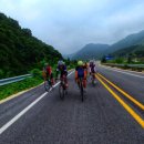 신덕평로 이미지