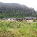 현장사진:아름다운 청정귀촌주택지:전기,포장도로,개울,산이있는 영양토지(소액급매) 이미지