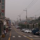 화도진약국 Daum카페