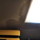 길주로508번길 이미지