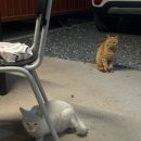 02-A | 제천 청풍호뷰 카라반 캠핑장 "위고고 제천점" A-02 후기