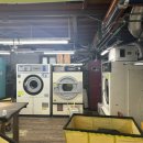 새마을명품세탁 이미지