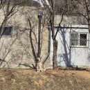 씨스페이스 토리상점 | 파주1박2일 | 북스테이 프레농, 카메라타, 피제리아스탈라레, 헤이준