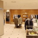 마에스트로 이미지