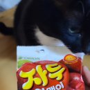 강김밥집 이미지