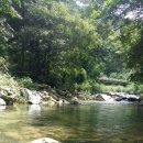 가평물골숲계곡캠핑장 이미지