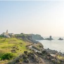 제주로베로 이미지