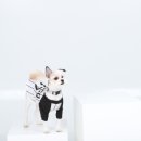 멍데이 이미지