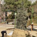당산어린이공원