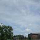 난타 | [충북 음성 가볼만한곳] 아이와 가볍게 걷기 좋은 힐링 명소, '맹동 치유의 숲' 시범운영 다녀왔어요!