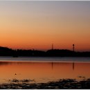 새봉낚시터 이미지