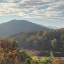 모산봉등산로 이미지