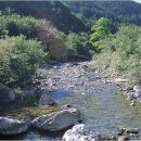 상노 2리 이미지