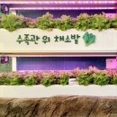 제천시농업기술센터 | 가족나들이 하기좋은 제천시농업기술센터 아열대 스마트온실 무료관람 후기