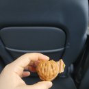 소프트모텔 | 250504, 05, 06. 형부와 큰언니와 함께 전라남도 고흥 여행 후기.
