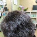 친환경엘샤론머리염색