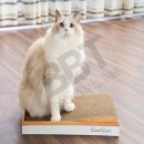 슴슴집 이미지