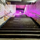 남부농장 이미지