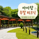 신호문화공원 체육시설 | 옥구공원 취사존 예약 후기 | 아이랑 주말 나들이 가기 좋은 시흥 공원