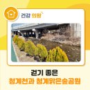 청계 맑은숲공원 이미지