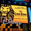 라이온킹 | 뉴욕 브로드웨이 뮤지컬 라이온킹 관람 후기｜영어 몰라도 감동적인 The Lion King 공연