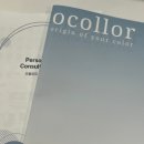 주식회사 생기의집 | 여의도 퍼스널컬러 컨설팅 - 오콜로르 여의도점 솔직 후기 (가을 뮤트)