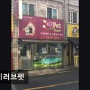 아이러브 펫 | (수원, 강아지, 고양이, 애견미용, 추천!) 아이러브펫 수원 아이러브펫, 친절한 서비스