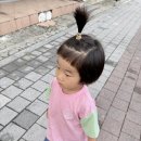 부일동물병원 네이버블로그
