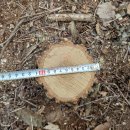 은평-048 이미지