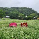 9월13일 토요일 테마여행(강방님들 현지 참석하세요) 이미지