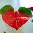 서천생태공원 이미지