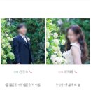 [W-15] 모바일 청첩장｜살롱드레터'Salon de Letter' 후기 (게스트스냅 최고!)