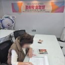 꼼지락갤러리 | 꼼지락스튜디오 방문 후기, 목포에서 만난 힐링 공간