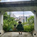 더노은로캠핑장 이미지