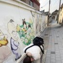 분란경로당 이미지