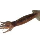 대성한의원 이미지