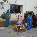 Happly Pongal - 2011Yr 이미지